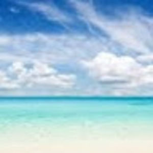 Meet your Posher, Mia